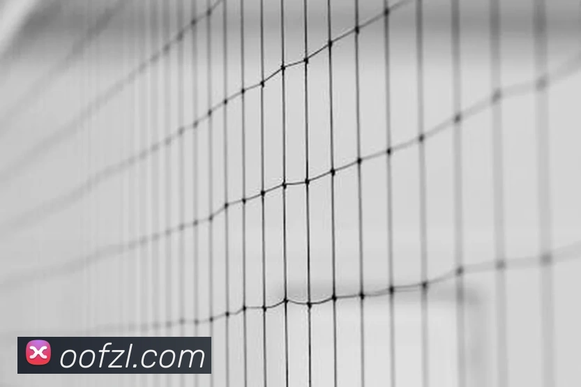 尊龙凯时APP 体育赛事宣传图